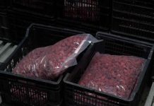 Productor de Loncoche multiplica su negocio de frambuesas y llega al retail gracias al financiamiento del Gobierno Regional y apoyo de Corfo. Productor de Loncoche multiplica su negocio de frambuesas y llega al retail gracias al financiamiento del Gobierno Regional y apoyo de Corfo.