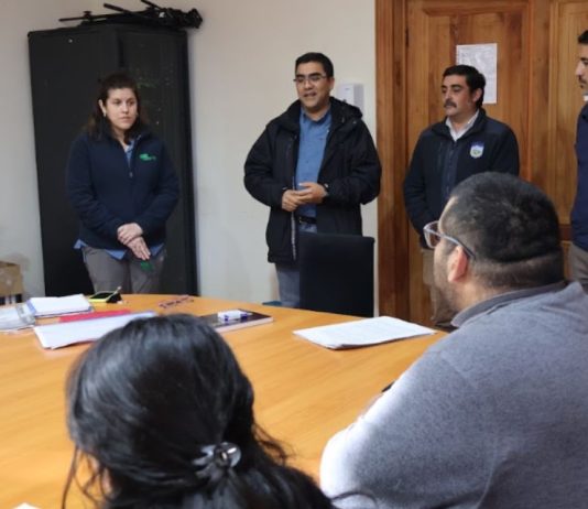 Programa de Emergencia de Empleo de CONAF inició labores en la comuna de Pumanque Programa de Emergencia de Empleo de CONAF inició labores en la comuna de Pumanque