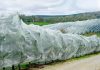 El impacto de la lluvia y los granizos en los frutales de temporada El impacto de la lluvia y los granizos en los frutales de temporada, protección de frutales contra granizos, malla antigranizo Drapenet