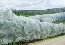 El impacto de la lluvia y los granizos en los frutales de temporada El impacto de la lluvia y los granizos en los frutales de temporada, protección de frutales contra granizos, malla antigranizo Drapenet
