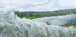 El impacto de la lluvia y los granizos en los frutales de temporada El impacto de la lluvia y los granizos en los frutales de temporada, protección de frutales contra granizos, malla antigranizo Drapenet