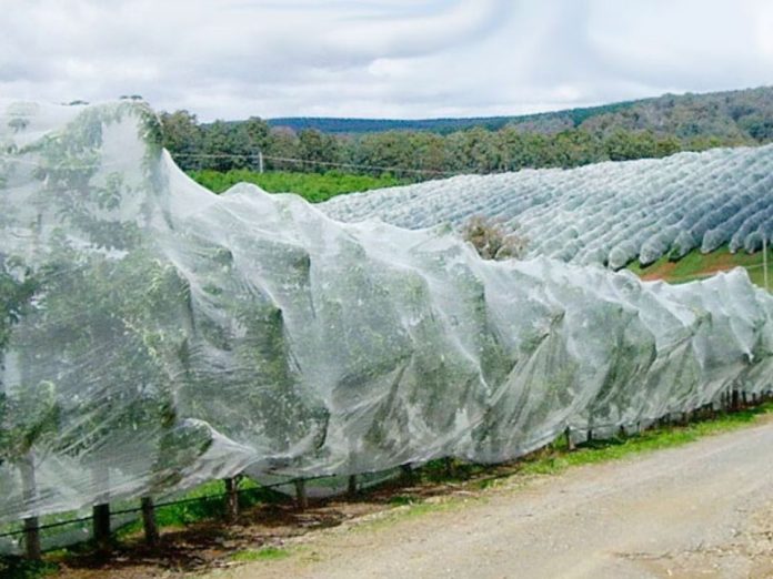 Protección de frutales contra granizos, malla antigranizo Drapenet El impacto de la lluvia y los granizos en los frutales de temporada, protección de frutales contra granizos, malla antigranizo Drapenet