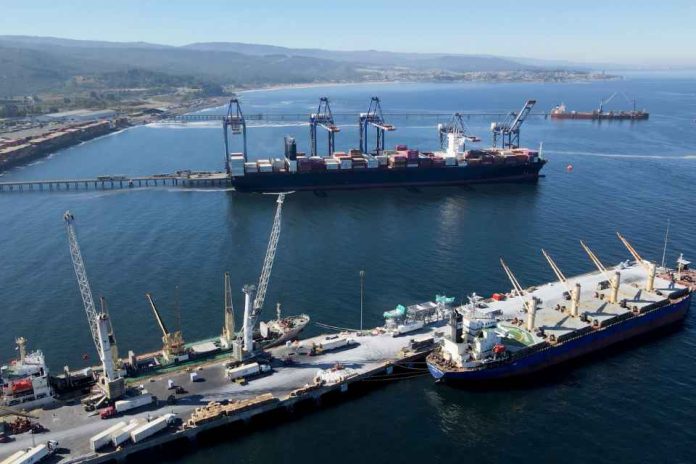 Puerto Coronel Reportaje | Puerto Coronel proyecta que Biobío puede captar hasta la mitad de las importaciones alimentarias del retail que hoy ingresan por Valparaíso