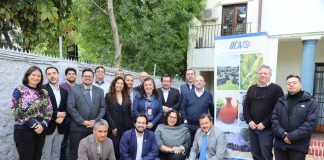 Representantes de IICA abordan con ministro Campos la necesidad de impulsar una agenda regional frente a plagas y riesgos sanitarios Representantes de IICA abordan con ministro Campos la necesidad de impulsar una agenda regional frente a plagas y riesgos sanitarios