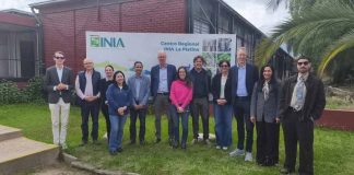 Representantes de Países Bajos conocen iniciativas de INIA La Platina para reducir pérdidas de alimentos