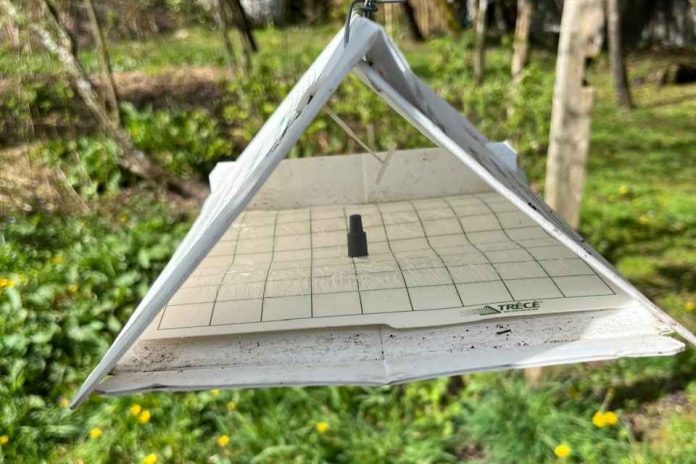SAG Aysén realiza monitoreo de la plaga agrícola Lobesia botrana en la región SAG Aysén realiza monitoreo de la plaga agrícola Lobesia botrana en la región