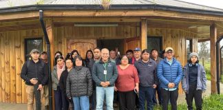 SAG Biobío capacitó a comunidades del Lago LLeu LLeu sobre nueva Ley Apícola y enfermedades de las abejas