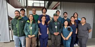 SAG Biobío trasladó 8 ejemplares de fauna exótica a establecimiento de la región de La Araucanía