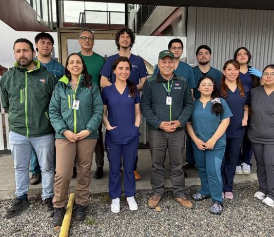 SAG Biobío trasladó 8 ejemplares de fauna exótica a establecimiento de la región de La Araucanía SAG Biobío trasladó 8 ejemplares de fauna exótica a establecimiento de la región de La Araucanía