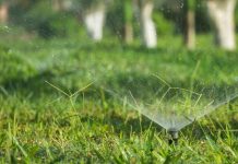 SPRING de GLOBALG.A.P.: cómo transformar la gestión del agua en una herramienta de mejora para el predio agrícola SPRING de GLOBALG.A.P.: cómo transformar la gestión del agua en una herramienta de mejora para el predio agrícola