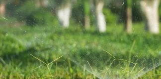 SPRING de GLOBALG.A.P.: cómo transformar la gestión del agua en una herramienta de mejora para el predio agrícola