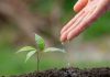 Seminario en Quillota acercará a los agricultores herramientas para la adaptación climática Seminario en Quillota acercará a los agricultores herramientas para la adaptación climática