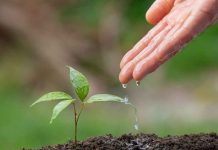 Seminario en Quillota acercará a los agricultores herramientas para la adaptación climática Seminario en Quillota acercará a los agricultores herramientas para la adaptación climática