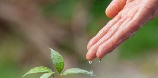 Seminario en Quillota acercará a los agricultores herramientas para la adaptación climática Seminario en Quillota acercará a los agricultores herramientas para la adaptación climática