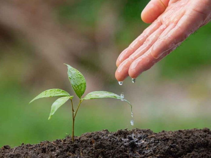 Seminario en Quillota acercará a los agricultores herramientas para la adaptación climática Seminario en Quillota acercará a los agricultores herramientas para la adaptación climática