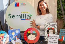 Sercotec certificará a más de un centenar de emprendedores del Biobío a través de los programas Semilla, Abeja y Almacenes Sercotec certificará a más de un centenar de emprendedores del Biobío a través de los programas Semilla, Abeja y Almacenes