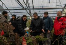 Subsecretario Venezian revisó en Magallanes respuesta ante incendios y trabajo con flora subantártica Subsecretario Venezian revisó en Magallanes respuesta ante incendios y trabajo con flora subantártica