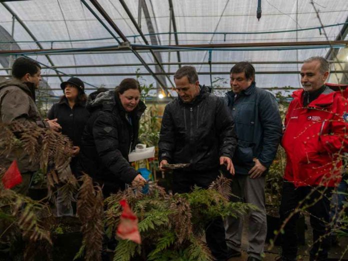 Subsecretario Venezian revisó en Magallanes respuesta ante incendios y trabajo con flora subantártica