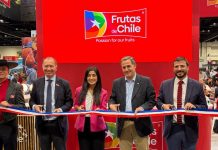 Subsecretario de Agricultura impulsa agenda comercial para fortalecer la presencia de la fruta chilena en Estados Unidos Subsecretario de Agricultura impulsa agenda comercial para fortalecer la presencia de la fruta chilena en Estados Unidos