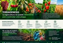 TERRAGÉNESIS — Biological Intelligence: La agricultura no puede detenerse para controlar una plaga TERRAGÉNESIS — Biological Intelligence: La agricultura no puede detenerse para controlar una plaga