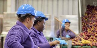 Tecnología y solidaridad: Red de Alimentos fortalece su misión con apoyo de Citi Foundation Tecnología y solidaridad: Red de Alimentos fortalece su misión con apoyo de Citi Foundation