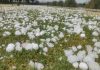 Seremi de Agricultura del Biobío entrega recomendaciones para prevenir daños en el sector silvoagropecuario ante alerta por tormentas eléctricas. Seremi de Agricultura del Biobío entrega recomendaciones para prevenir daños en el sector silvoagropecuario ante alerta por tormentas eléctricas.