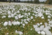 Seremi de Agricultura del Biobío entrega recomendaciones para prevenir daños en el sector silvoagropecuario ante alerta por tormentas eléctricas. Seremi de Agricultura del Biobío entrega recomendaciones para prevenir daños en el sector silvoagropecuario ante alerta por tormentas eléctricas.