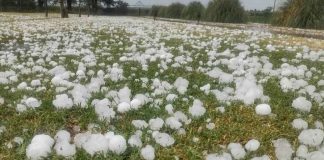 Seremi de Agricultura del Biobío entrega recomendaciones para prevenir daños en el sector silvoagropecuario ante alerta por tormentas eléctricas.