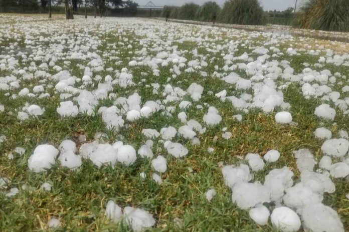 Tormentas granizos agro Chile Seremi de Agricultura del Biobío entrega recomendaciones para prevenir daños en el sector silvoagropecuario ante alerta por tormentas eléctricas.