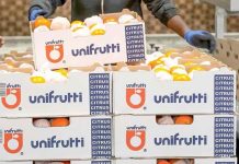 Unifrutti fortalece su liderazgo en América Latina y su estructura agrícola global Unifrutti fortalece su liderazgo en América Latina y su estructura agrícola global