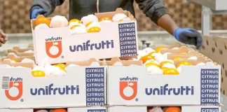 Unifrutti fortalece su liderazgo en América Latina y su estructura agrícola global Unifrutti fortalece su liderazgo en América Latina y su estructura agrícola global