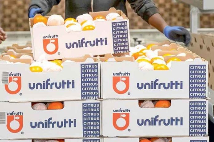 Unifrutti fortalece su liderazgo en América Latina y su estructura agrícola global