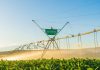 Uruguay | La escasez de agua coloca al riego en el centro de la estrategia agrícola. Uruguay | La escasez de agua coloca al riego en el centro de la estrategia agrícola.