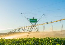 Uruguay | La escasez de agua coloca al riego en el centro de la estrategia agrícola. Uruguay | La escasez de agua coloca al riego en el centro de la estrategia agrícola.