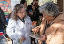 Vecinos de Temuco recuperan técnicas de cultivo y saberes tradicionales en escuela comunitaria Vecinos de Temuco recuperan técnicas de cultivo y saberes tradicionales en escuela comunitaria