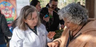 Vecinos de Temuco recuperan técnicas de cultivo y saberes tradicionales en escuela comunitaria Vecinos de Temuco recuperan técnicas de cultivo y saberes tradicionales en escuela comunitaria