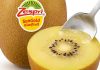 Zespri evalúa abastecerse de kiwi SunGold cultivado en China para frenar la competencia «ilegal» Zespri evalúa abastecerse de kiwi SunGold cultivado en China para frenar la competencia «ilegal»