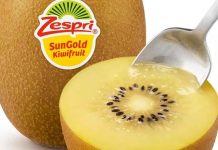 Zespri evalúa abastecerse de kiwi SunGold cultivado en China para frenar la competencia «ilegal» Zespri evalúa abastecerse de kiwi SunGold cultivado en China para frenar la competencia «ilegal»
