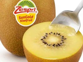 Zespri evalúa abastecerse de kiwi SunGold cultivado en China para frenar la competencia «ilegal»