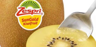 Zespri evalúa abastecerse de kiwi SunGold cultivado en China para frenar la competencia «ilegal» Zespri evalúa abastecerse de kiwi SunGold cultivado en China para frenar la competencia «ilegal»