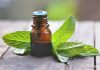 Cómo elegir el mejor aceite esencial de menta para aliviar el estrés laboral Cómo elegir el mejor aceite esencial de menta para aliviar el estrés laboral, aceite esencial para aliviar estrés