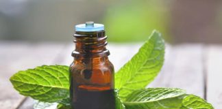 Cómo elegir el mejor aceite esencial de menta para aliviar el estrés laboral Cómo elegir el mejor aceite esencial de menta para aliviar el estrés laboral, aceite esencial para aliviar estrés