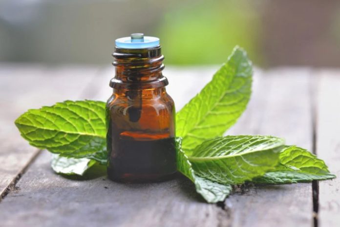 Cómo elegir el mejor aceite esencial de menta para aliviar el estrés laboral Cómo elegir el mejor aceite esencial de menta para aliviar el estrés laboral, aceite esencial para aliviar estrés