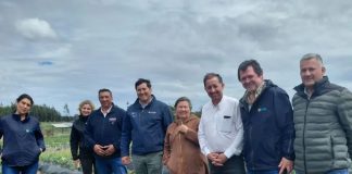 Seremi de Agricultura constata avances de proyecto INIA-Gore que entrega plantas sanas de frutilla a pequeños productores del Maule Seremi de Agricultura constata avances de proyecto INIA-Gore que entrega plantas sanas de frutilla a pequeños productores del Maule